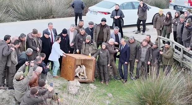 Yaralı bulunan 2 pelikan, bakımının ardından doğaya salındı