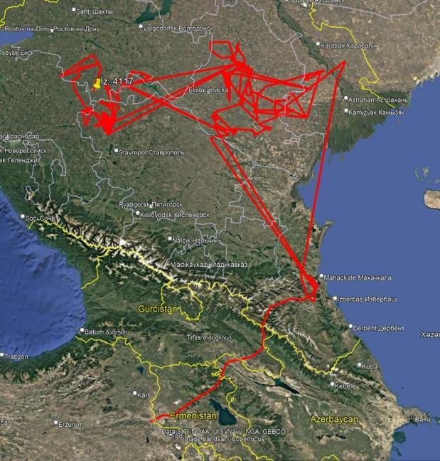2025te en çok karabaşlı ötleğen halkalandı