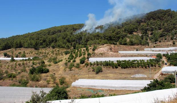 Antalyada çıkan orman yangını kontrol altında