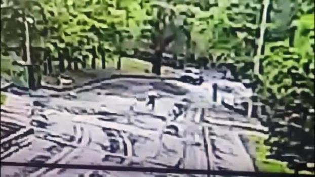 Üniversite kampüsünde köpeklerin saldırısına uğradı: O anlar kamerada