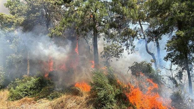 Antalyada orman yangını kontrol altına alındı