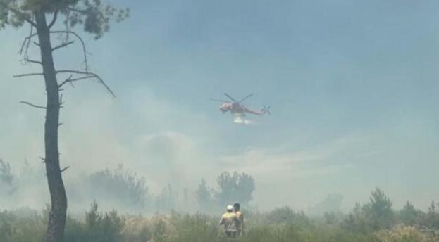 İzmir Bucada çıkan orman yangını kontrol altında