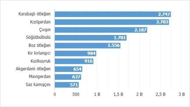 2025te en çok karabaşlı ötleğen halkalandı