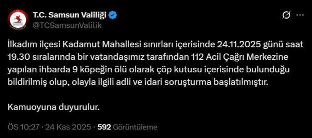 Samsun’da 9 köpek tabanca ile vurularak öldürüldü, Valilik açıklama yaptı