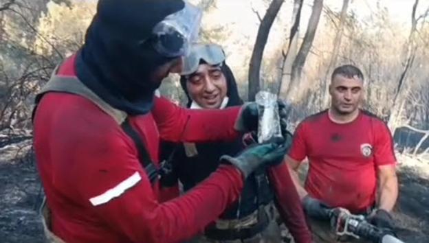 İzmirde orman yangınında can çekişirken bulunan balığı itfaiye kurtardı