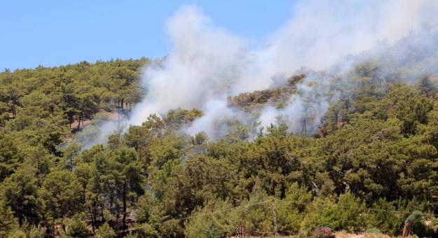Antalyada çıkan orman yangını kontrol altında