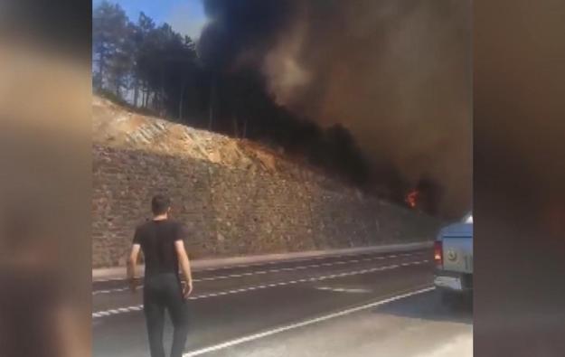 Bursada orman yangını