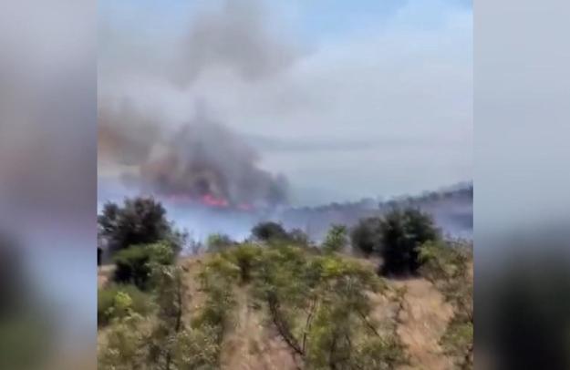 Bursada sazlık yangını