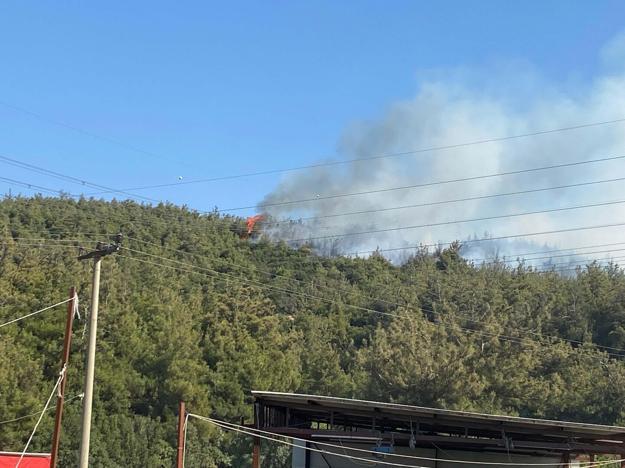 Manisada orman yangını