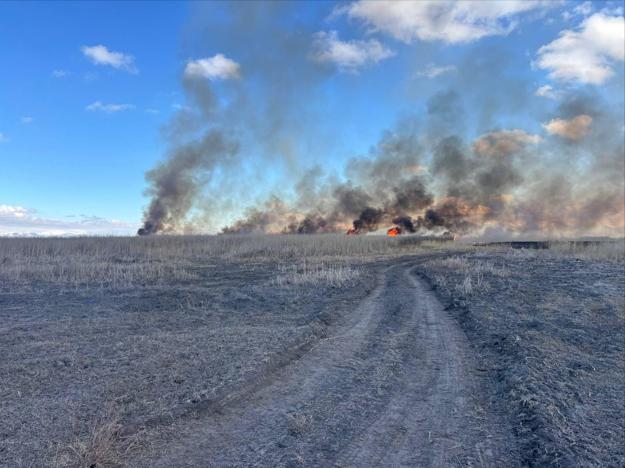 Sultan Sazlığı Milli Parkında yangın