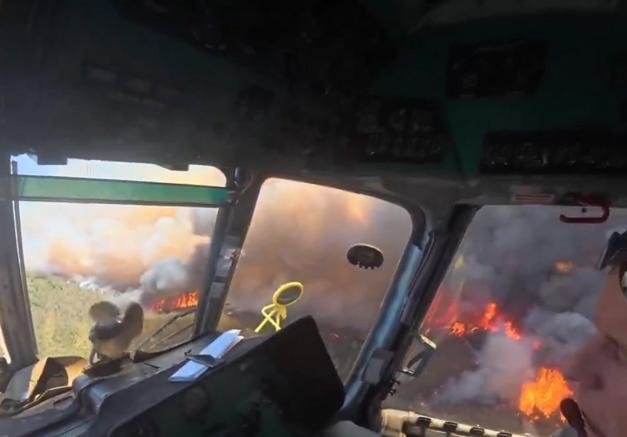 İzmirde çıkan orman yangını kontrol altında