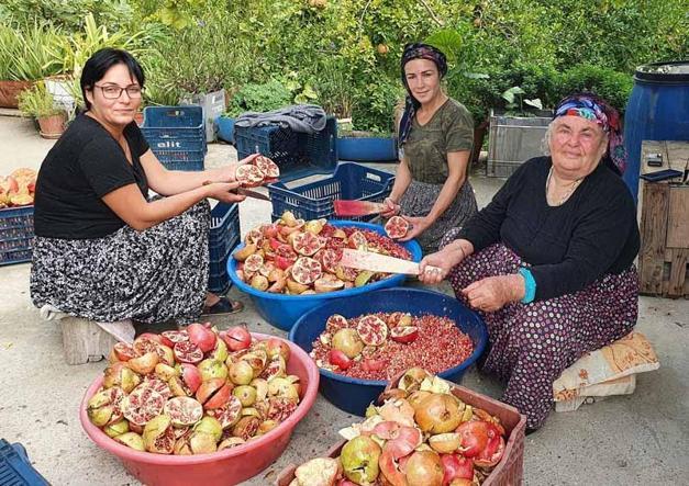 Yörük kadınların nar ekşisi mesaisi