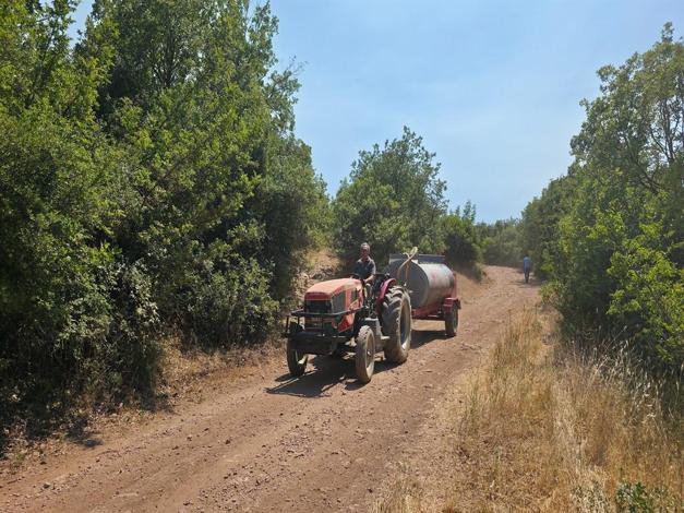 İnegöldeki orman yangını kontrol altına alındı