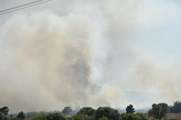 İzmir Bornovadaki orman yangını kontrol altında