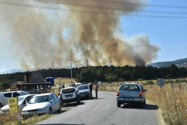 İzmir Bornovadaki orman yangını kontrol altında