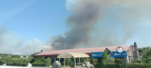 İzmir Bornovadaki orman yangını kontrol altında