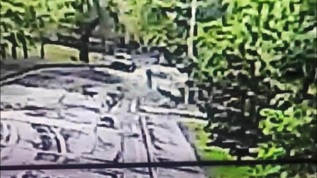 Üniversite kampüsünde köpeklerin saldırısına uğradı: O anlar kamerada