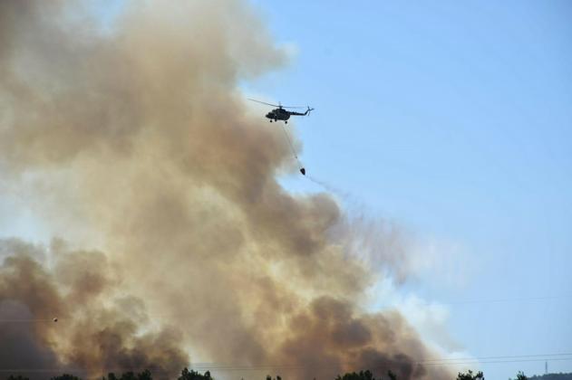 İzmir Bornovadaki orman yangını kontrol altında