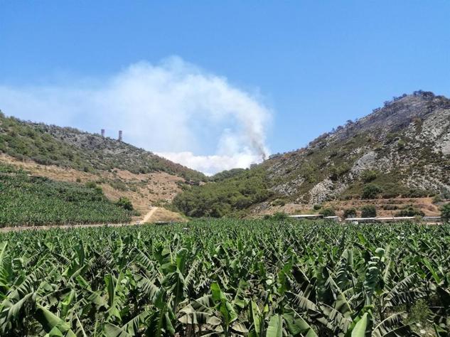 Antalyada orman yangını