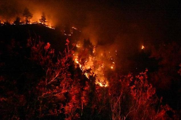 Bursadaki orman yangını Balıkesir’e sıçradı