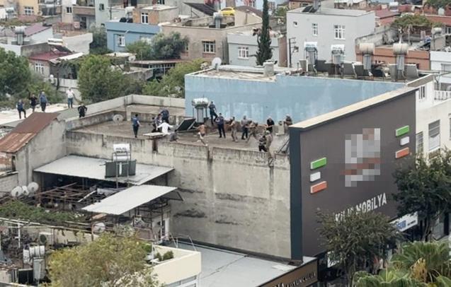 Polise bıçakla saldıran uyuşturucu bağımlısı, bacağından vurularak etkisiz hale getirildi