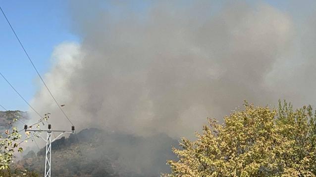 Düzcede orman yangını kontrol altında