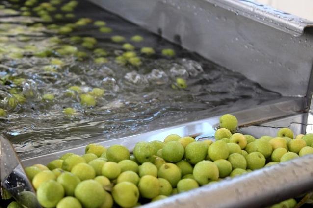 Çiftçinin, tek bir düğmeyle zorlanmadan zeytin sıkmasını hedefliyoruz