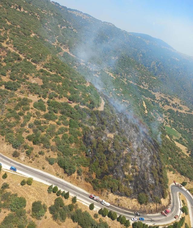 İzmirde otomobilde çıkan yangın ormana sıçradı; kontrol altına alındı