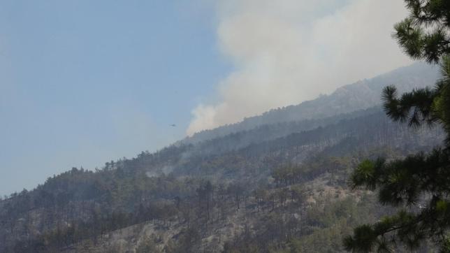 Sakaryada orman yangını 2nci gününde