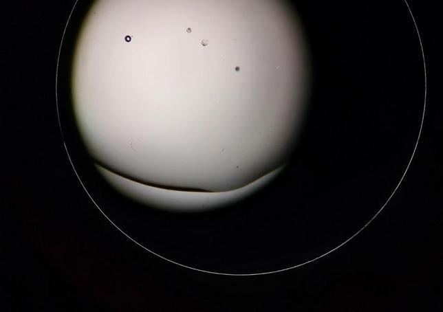 Genetik mühendislikle süt alerjisi taşımayan buzağılar dünyaya geldi