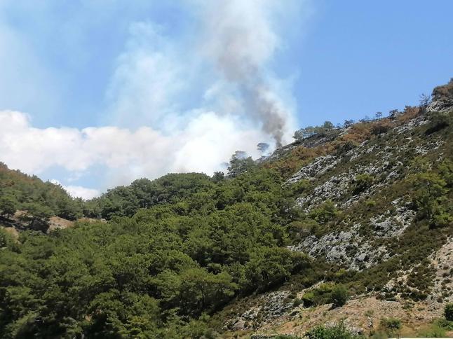 Antalyada orman yangını kontrol altına alındı