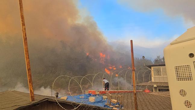 Hataydaki orman yangını 2nci gününde