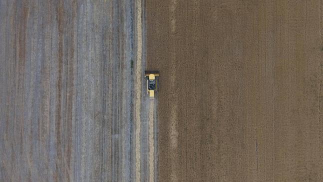 Konya Ovası’nda, kuraklık ve don nedeniyle yaklaşık 1 milyon ton rekolte düşüşü bekleniyor