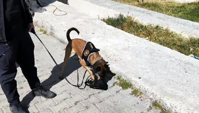 Bitliste yolcu otobüsü ve iki araçta 1 kilo 78 gram metamfetamin ele geçirildi; 5 tutuklama