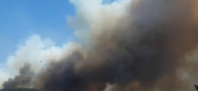 İzmirde çıkan orman yangını kontrol altında