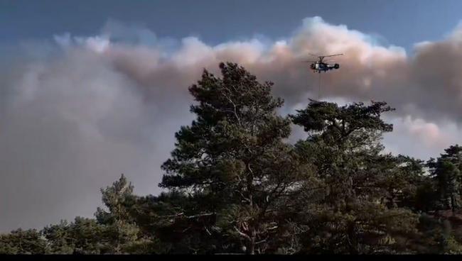Mersindeki orman yangını 2nci gününde