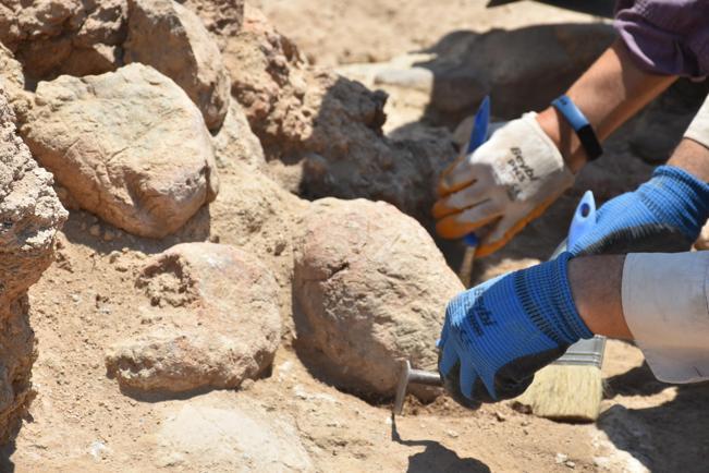 8000 years old fingerprints found in Ulucak Mound in Izmir