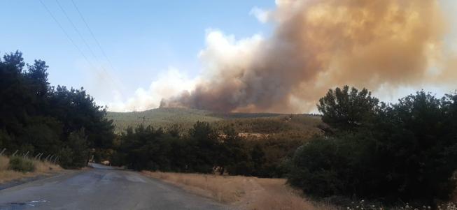 İzmirde çıkan orman yangını kontrol altında