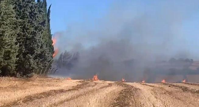 Silivride otluk alanda çıkan yangın çam ağaçlarına sıçradı