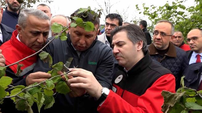 Bakan Yardımcısı Bağcı: Çiftçilerimizin yaptığı masrafları karşılayacağız