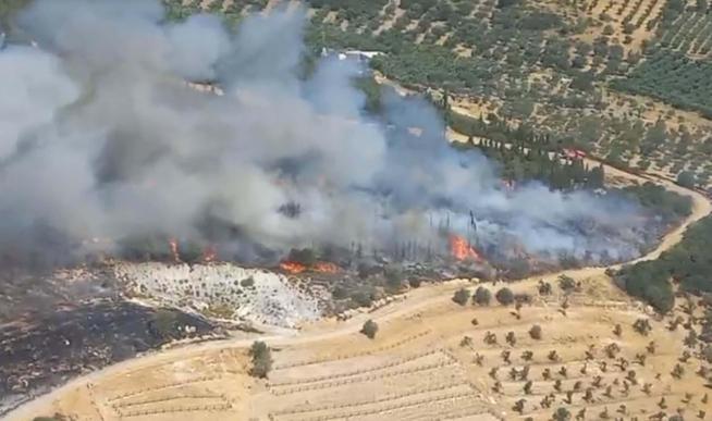 İzmir Aliağada orman yangını
