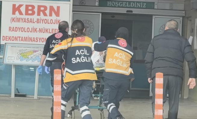 Tarlada kurmak istediği köstebek tabancası patlayınca hayatını kaybetti