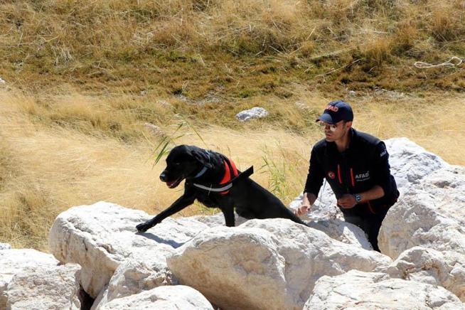 Vanda arama çalışmaları 6ncı güne girdi; Rojinden hala haber yok