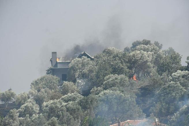 İzmirde 2 ayrı noktada orman yangını