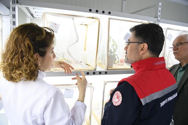 Bakan Yumaklı: Gıda arz güvenliğine ilişkin bir problem yok