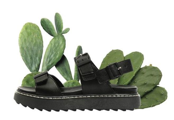 Kaktüs ve geri dönüştürülmüş malzemelerden ayakkabı üretildi