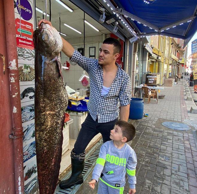 Barajda 1,5 metre boyunda 70 kilo ağırlığında yayın balığı yakaladı