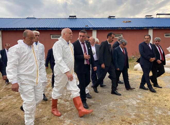 Bayraktar: Şap hastalığından mağdur olan işletmelere destek verilmeli
