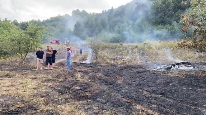 Bursa’da orman yangını
