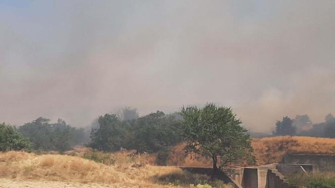 Çanakkalede tarım arazisinde çıkan yangın kontrol altında